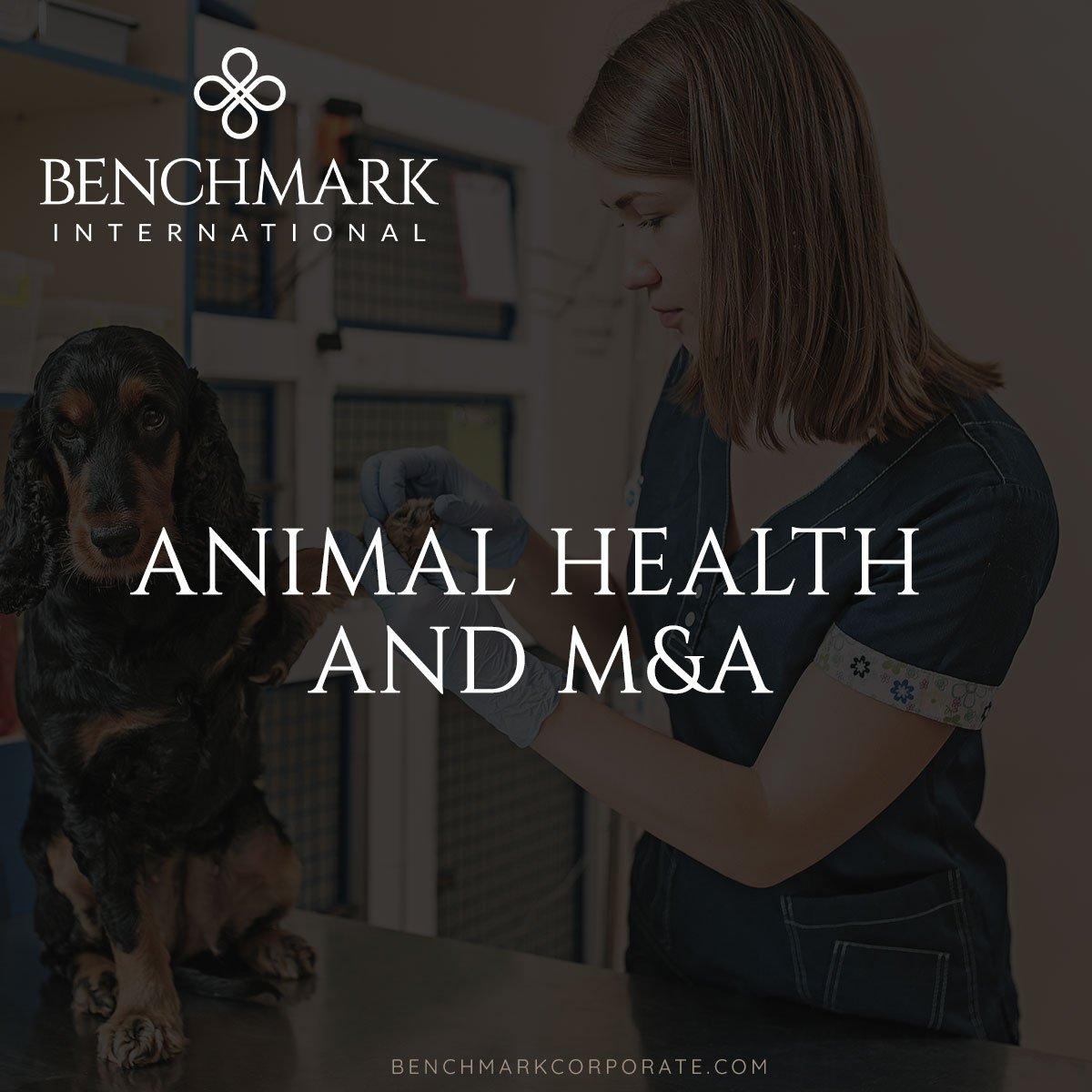 Animal_Health-Social