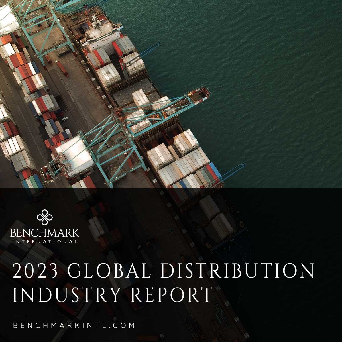 Global-Distribution-report_Social