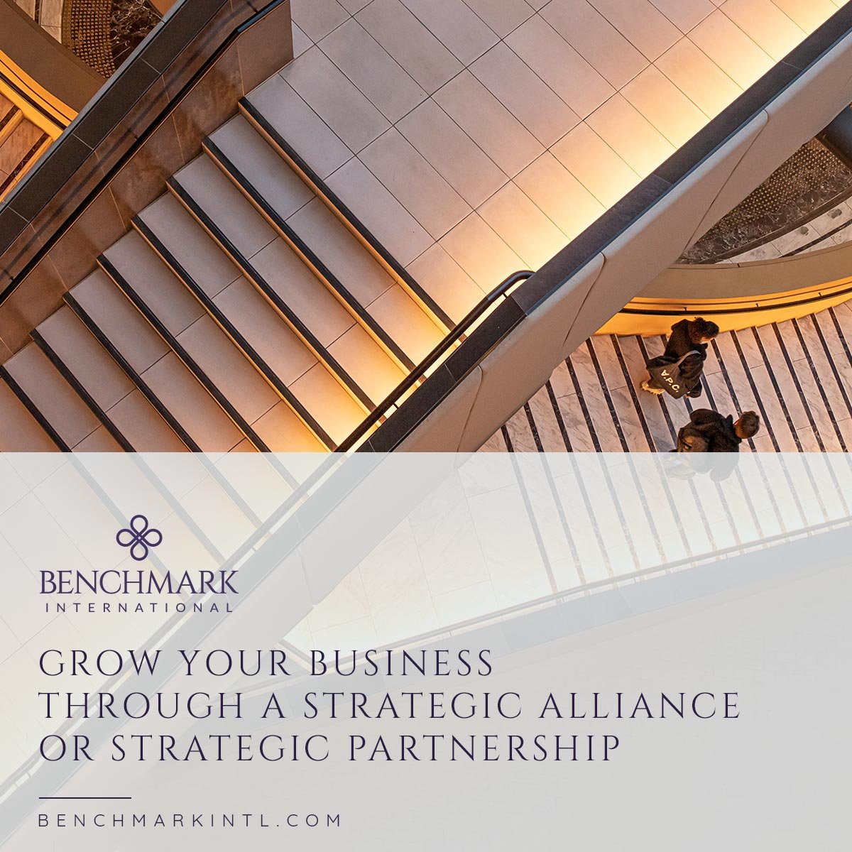Growing_Your_Business__Through_A_Strategic_Allianace_Or_Strategic_Partnership_Social(2)-1
