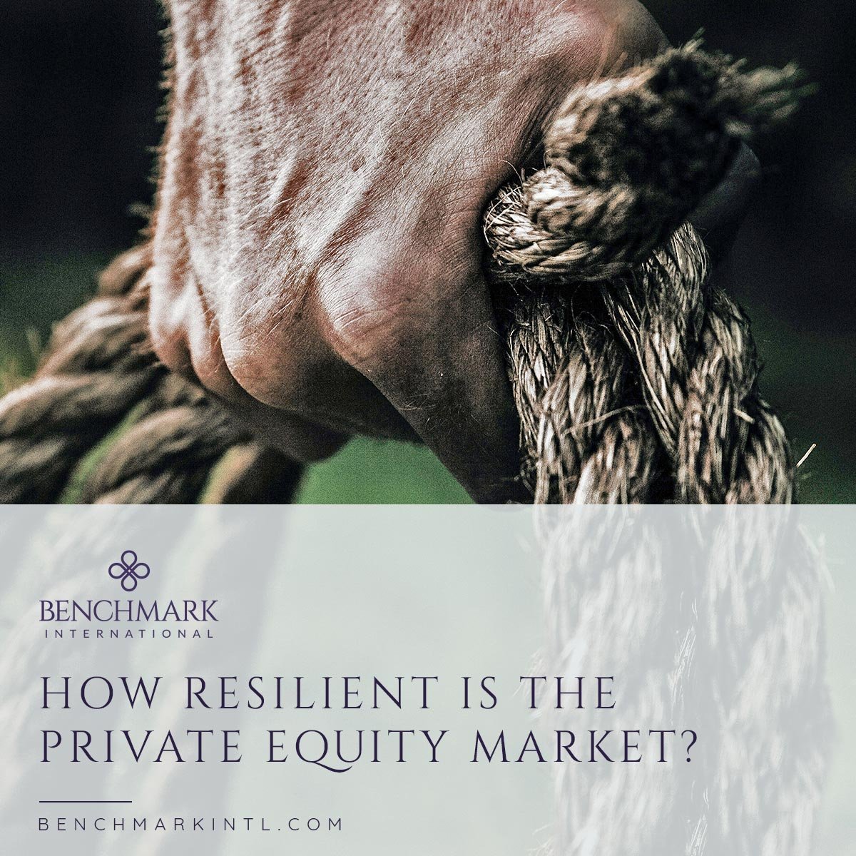 Private Equity Resilience Q1 2020