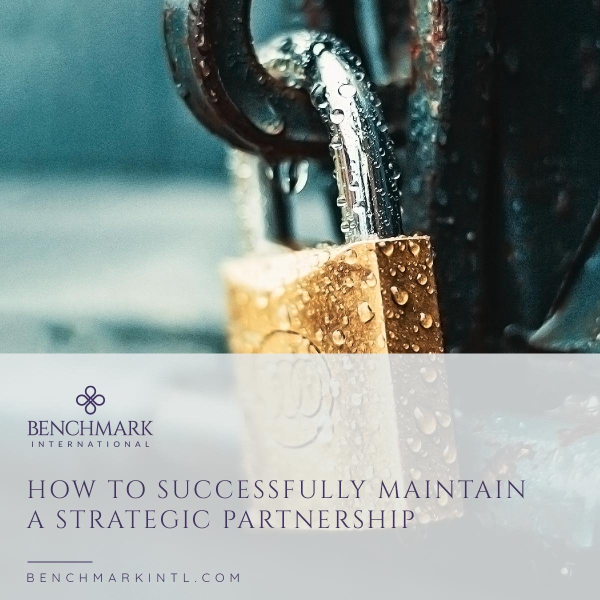 How_To_Successfully_Maintain_A_Strategic_Partnership_Social