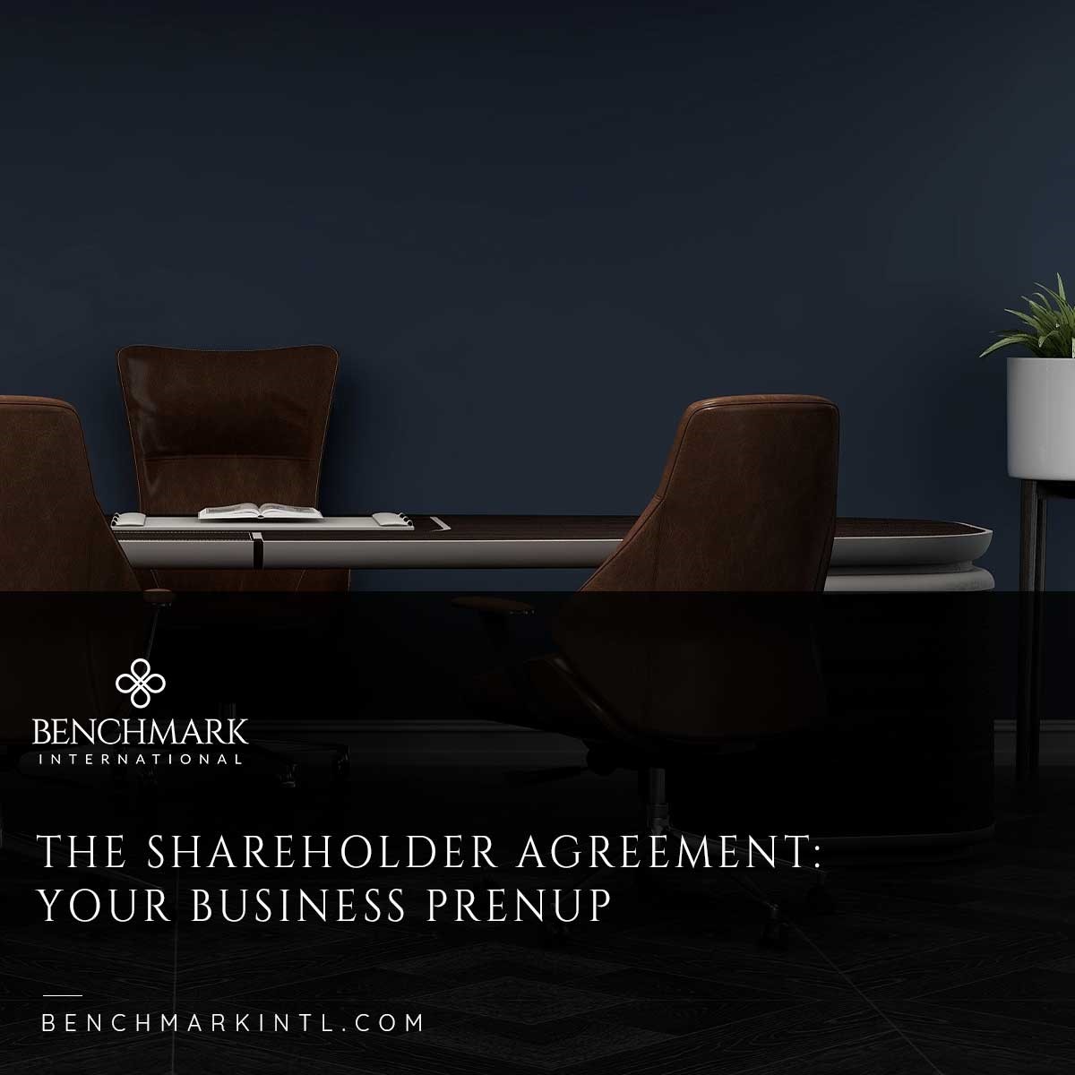 Shareholder Agreement, Your Business Prenup
