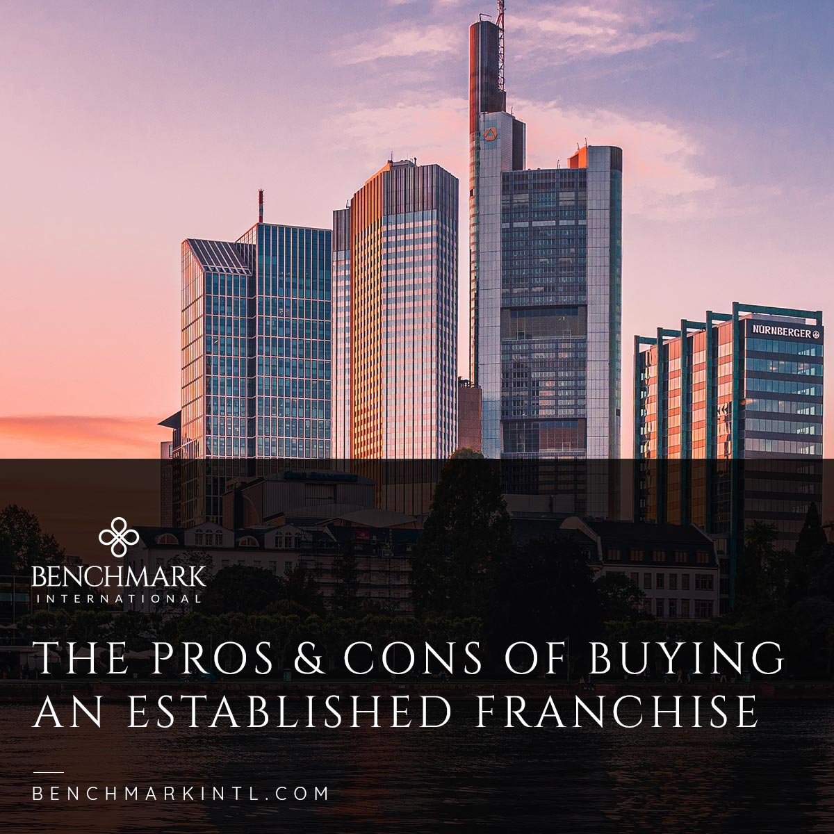The-Pros-&-Cons-Of-Buying-An-Established-Franchise_Social