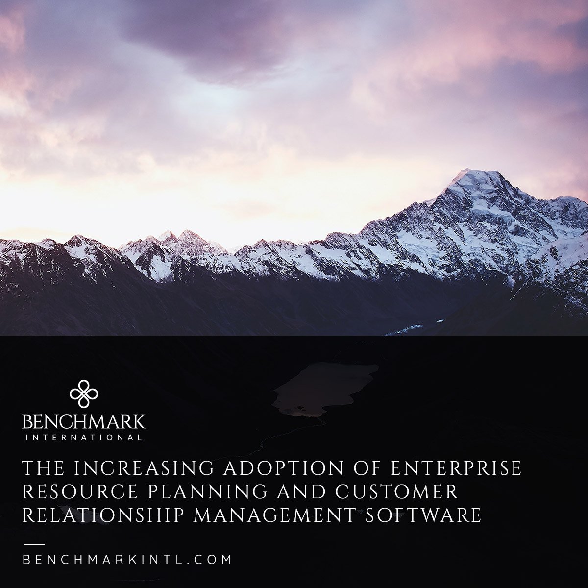 The_Increasing_Adoption_of_Enterprise_Resource_Planning_and_Customer_Relationship_Management_Software_Social(2)
