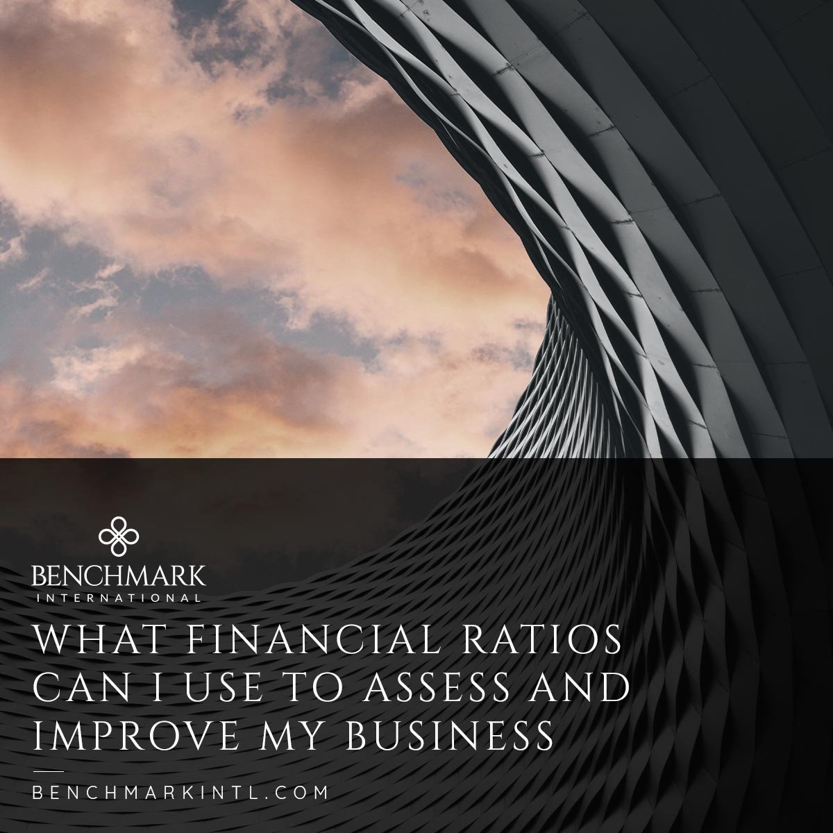 What-Financial-Ratios-Can-I-Use-to-Assess-and-Improve-My-Business__Social