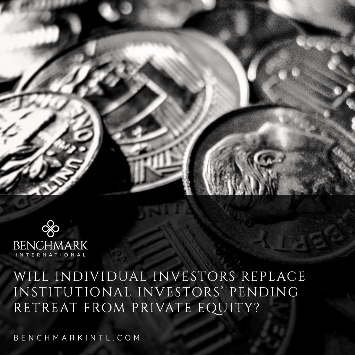 Will-Individual-Investors-Replace-Institutional-Investors’-Pending-Retreat-from-Private-Equity-_Social