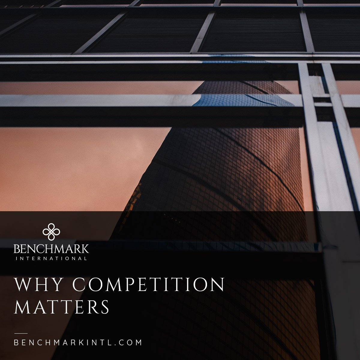 why_competition_matters_Social