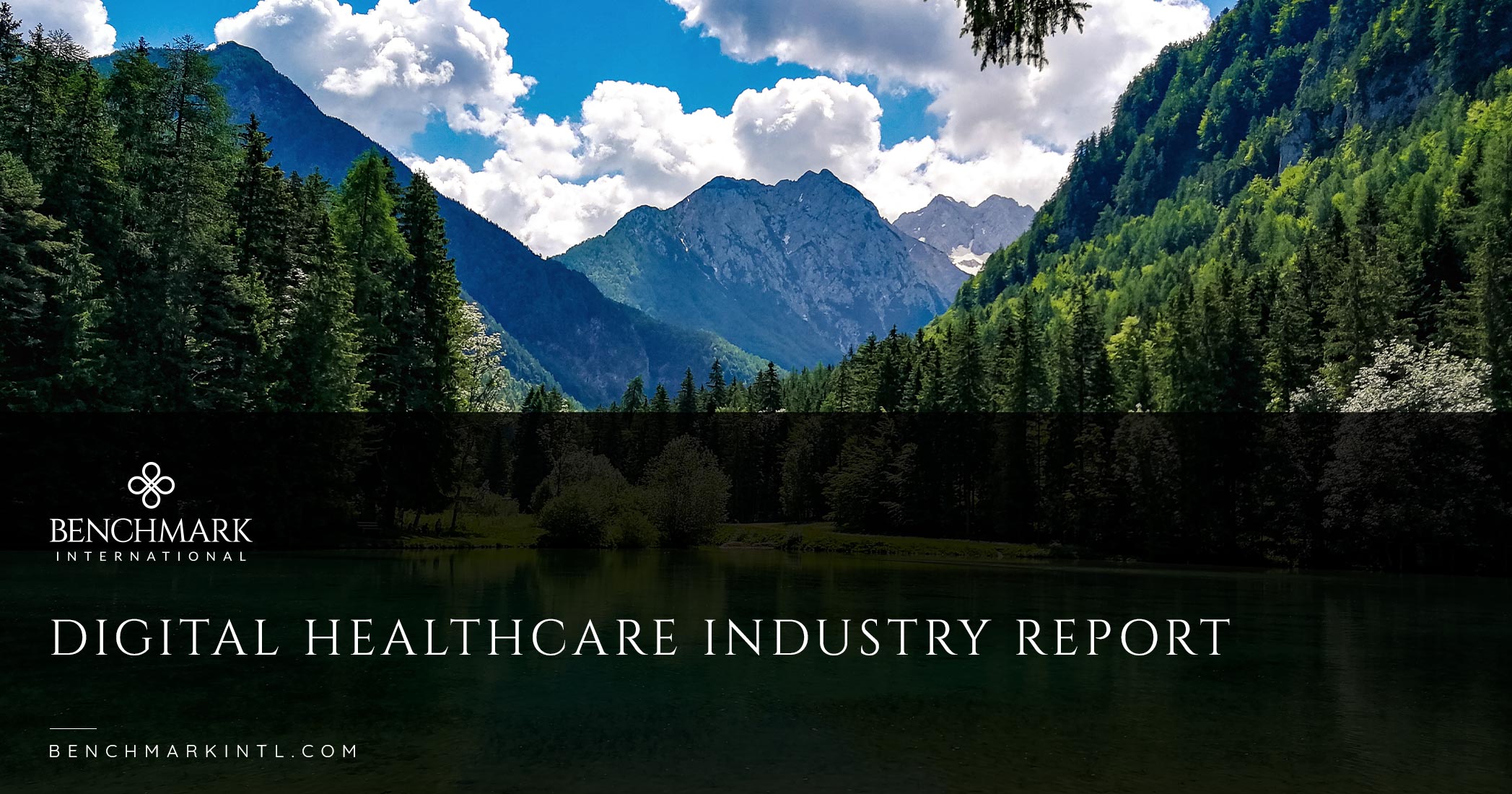 2022 Digital Healthcare Industry Report