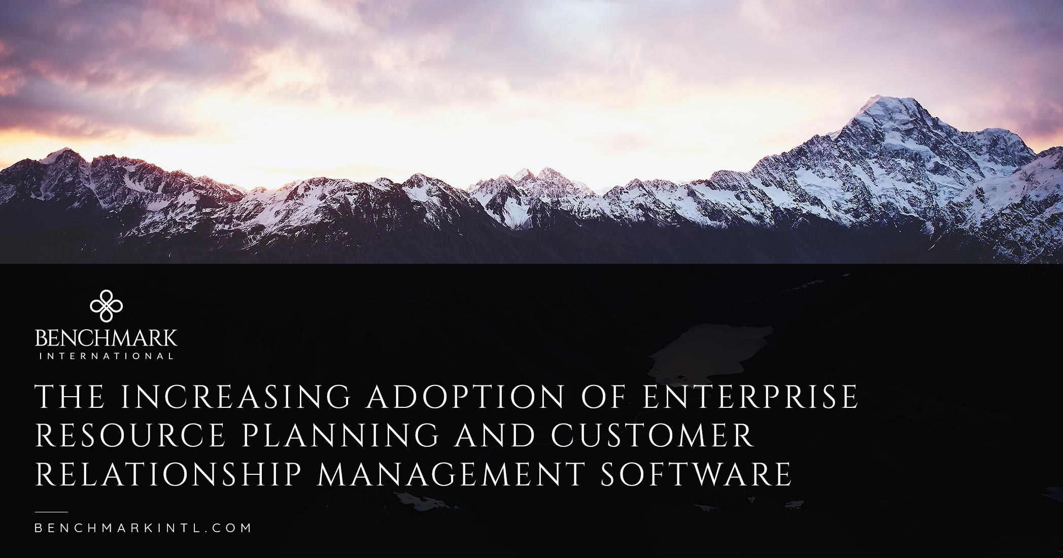 The Increasing Adoption Of Enterprise Resource Planning And Customer Relationship Management Software