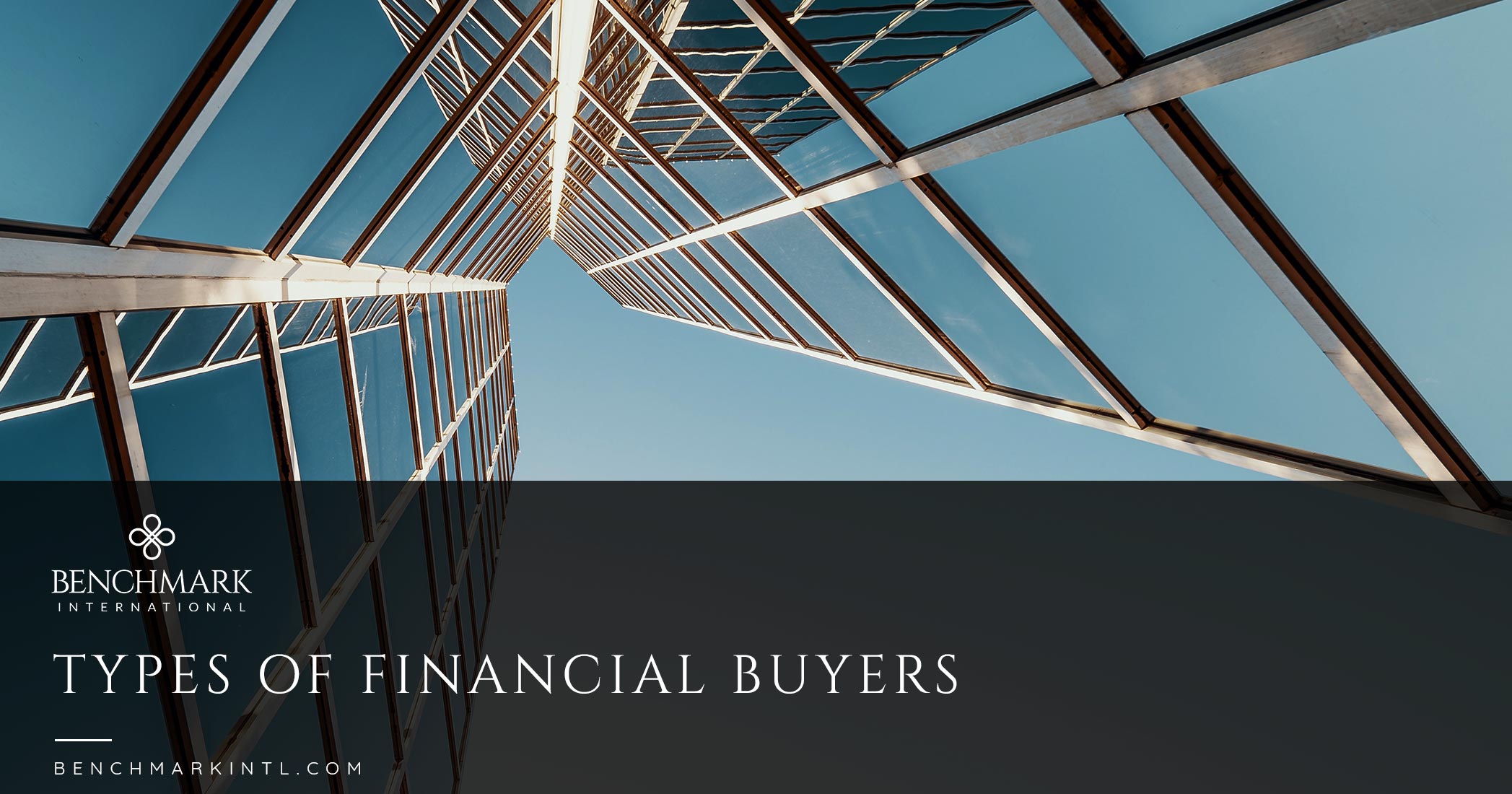 Types of Financial Buyers